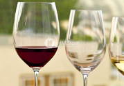 Дизайнерский набор бокалов для вина Riesling and Zinfandel Riedel 